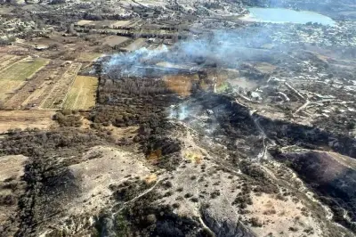 Bomberos sofocan incendio forestal en la Sierra de Galeana, Nuevo León
