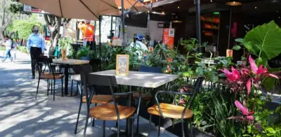 Brugada ordena recuperar espacio público: pérgolas en CDMX 