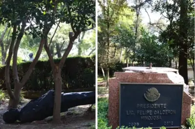 Calderón Tirado: 6 Meses en Los Pinos, ¿Qué Ocurre con el Exmandatario?