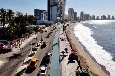 Diputados Federales Rechazan Categóricamente la Etiqueta de 'Estado Fallido' para Sinaloa