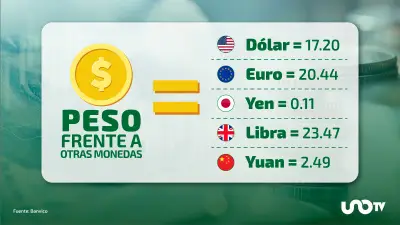 Dólar se cotiza en 17.20 pesos este 13 de febrero, según el DOF