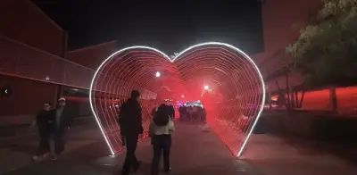 El amor como medicina: cómo las relaciones afectan directamente la salud cardíaca