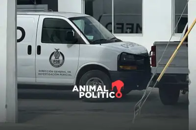 Fiscalía de Sinaloa exhuma cuerpos de fosa clandestina en Concordia