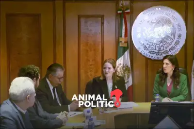 Frente Amplio Democrático impulsa parlamento abierto para reforma electoral en el Congreso