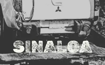 Hallan cinco cuerpos en Sinaloa; identifican a dos víctimas de familia desaparecida