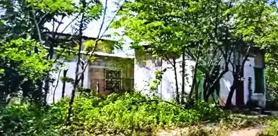 Hallan siete cuerpos en fosa clandestina de Veracruz; temen más víctimas