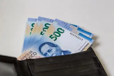 Ingresos del Gobierno Federal Registran Alza del 8.6% en Enero