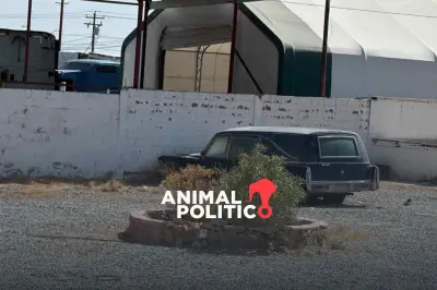 Liberan a dueño de crematorio en Chihuahua tras hallazgo de 386 cuerpos abandonados