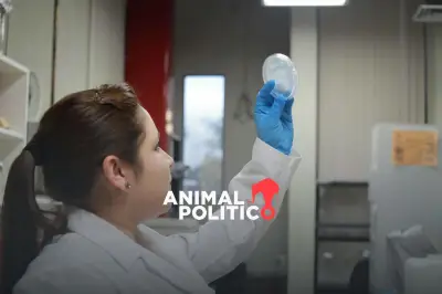 México tardaría 37 años en alcanzar paridad de género en STEM