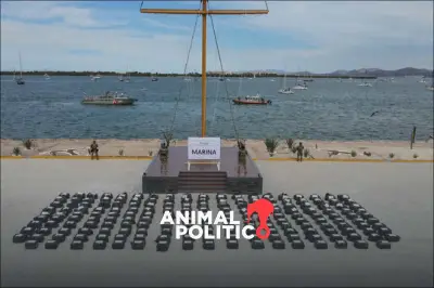 México y EU Decomisan Toneladas de Cocaína en Operación Binacional en el Pacífico