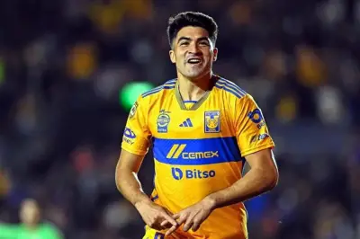 Nicolás Ibáñez Negocia Su Incorporación a Cruz Azul para el Clausura 2025