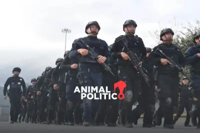 Sedena y Policía de Tamaulipas investigados por uso de armas exclusivas del Ejército