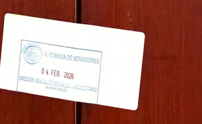 Senado cierra salón de belleza para revisión integral de servicios tras polémica