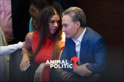 Sheinbaum y Morena rechazan sucesión familiar inmediata en cargos electos