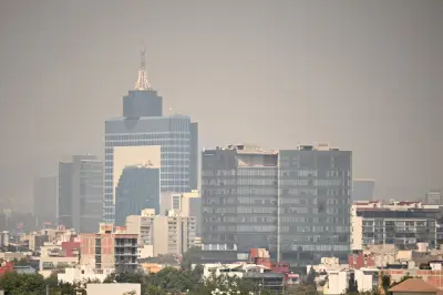 Suspenden contingencia ambiental en CDMX: Hoy No Circula no aplica este 15 de febrero