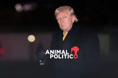 Trump reduce apoyo a organizaciones en México, afectando proyectos sociales