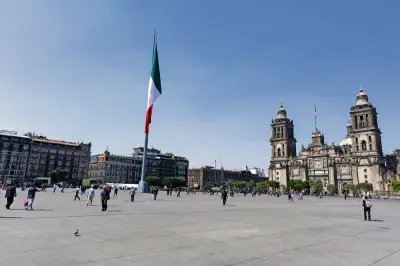 Zócalo de la CDMX se transforma en un gigantesco Jardín del Buen Amor con 11 mil plantas