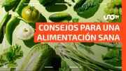 Alimentación Verde: 5 Beneficios Clave para la Salud y Cómo Adoptarla