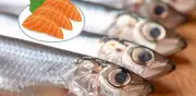 Alternativas al Salmón: 5 Pescados Ricos en Omega-3 para Tu Salud y Economía