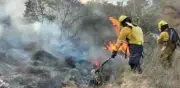 Atizapán enfrenta alza del 12% en incendios forestales; 98% por errores humanos