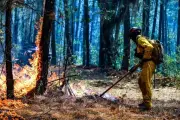 Autoridades Urgen a la Población a Prevenir Incendios Forestales en México
