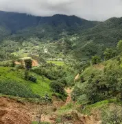 Brote de sarampión en Guerrero: Maestra denuncia más de 20 casos y muerte de niño en Río Encajonado