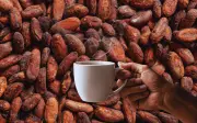Café y Cacao: La Combinación Perfecta para Combatir el Envejecimiento y Mejorar la Salud