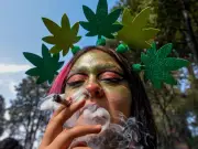 Cannabis en la adolescencia duplica riesgo de trastornos psiquiátricos en la adultez