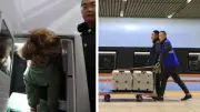 China lanza servicio piloto para viajar con mascotas en trenes de alta velocidad