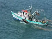 Conapesca actualiza certificado de captura para exportaciones pesqueras a la Unión Europea