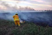 Consume incendio extenso pastizal en Escobedo, Nuevo León; autoridades combaten llamas