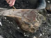 Costa Rica descubre fósiles de perezoso y mastodonte gigantes de hace miles de años