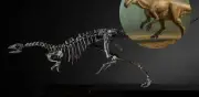 Descubren en EU dinosaurio del tamaño de un perro que redefine especie jurásica