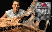 Descubren nueva especie de Spinosaurus en el Sáhara que desafía teoría acuática