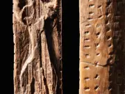 Descubren sistema de notación de 40.000 años con complejidad comparable a primera escritura