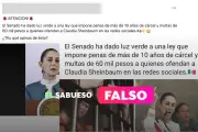 Desmienten falsa ley que penaliza críticas a Sheinbaum en redes sociales