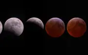 Eclipse Lunar Total de 2026: La Luna se Teñirá de Rojo en un Espectáculo Celestial