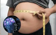 El Cerebro: Tu Aliado Clave para Perder Grasa sin Dietas Estrictas ni Ejercicio Excesivo