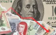 El peso retrocede frente al dólar: cotización del 20 de febrero y datos clave