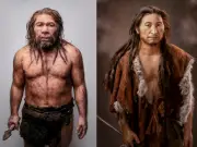 Estudio revela que los 'desiertos neandertales' en nuestro ADN se deben a interacciones sociales