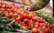 Exportaciones agroalimentarias de México caen 5.4% en 2025 por medidas de EE.UU.