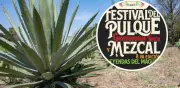 Festival del Pulque y Mezcal 2026 en CDMX: Celebración de Leyendas del Maguey