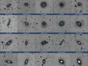 Galaxias enanas practican 'canibalismo' cósmico, revela estudio del IAA-CSIC