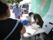 Guadalajara lanza campaña masiva de esterilización gratuita para 80 mascotas