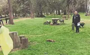 Hallan perrita muerta con signos de maltrato en Bosque de Nativitas, Xochimilco