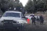 Hallan seis cuerpos con impactos de bala en Huehuetlán Grande, Puebla