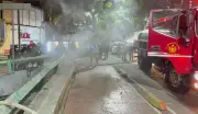 Incendio en respiradero del Metro Insurgentes deja gato siamés con quemaduras
