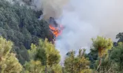 Incendio forestal en Sierra Negra de Puebla consume 150 hectáreas; combaten con helicóptero
