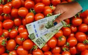 Inflación en México se alarga: frutas y verduras registran alzas históricas en febrero