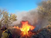 Jalisco activa Emergencia Atmosférica por incendio en Presa El Ahogado